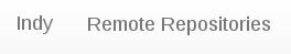 Remote Repositories menu